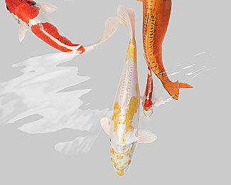 PS宣布与知名音乐组合YOASOBI合作 以玩家故事创作新歌曲